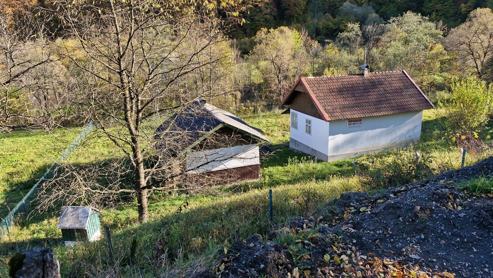 Будинок в Карпатах