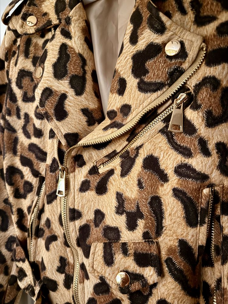 ramoneska panterka, leopard
