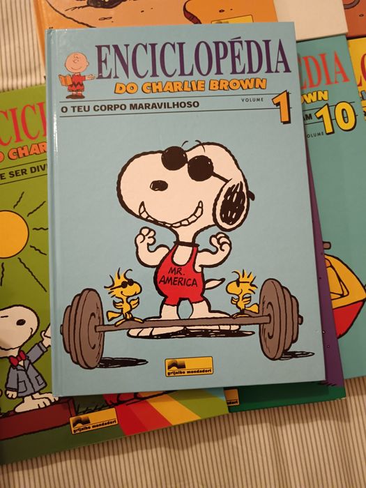 Enciclopédia do Charlie Brown - 14 volumes