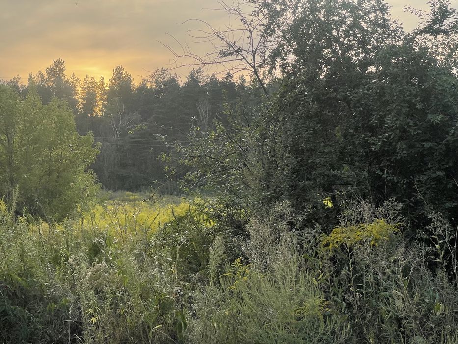 ЩАСЛИВЕ Продається Пейзажна Ділянка 15 соток вул. Соснова 70000$