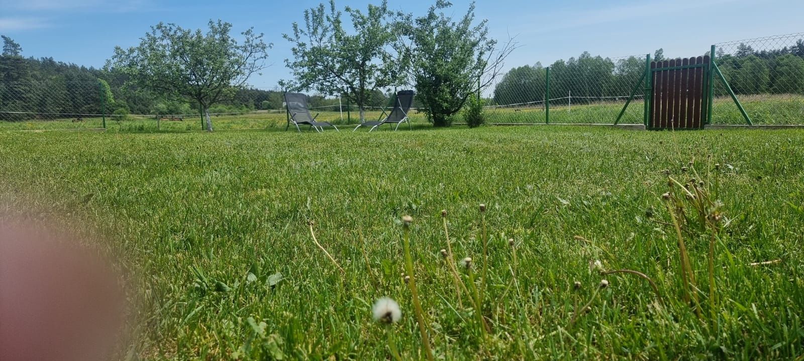 Dom na skraju lasu. Okolice Augustowa Podlaskie