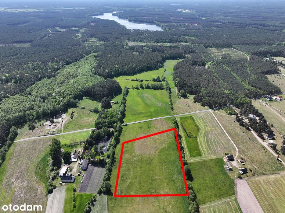 Działka Rąpin las jeziora Puszcza Notecka