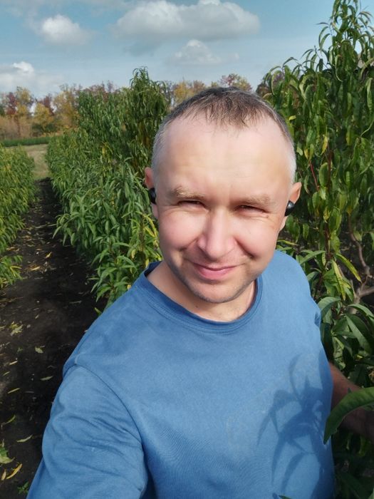 Саджанці персика і абрикоса