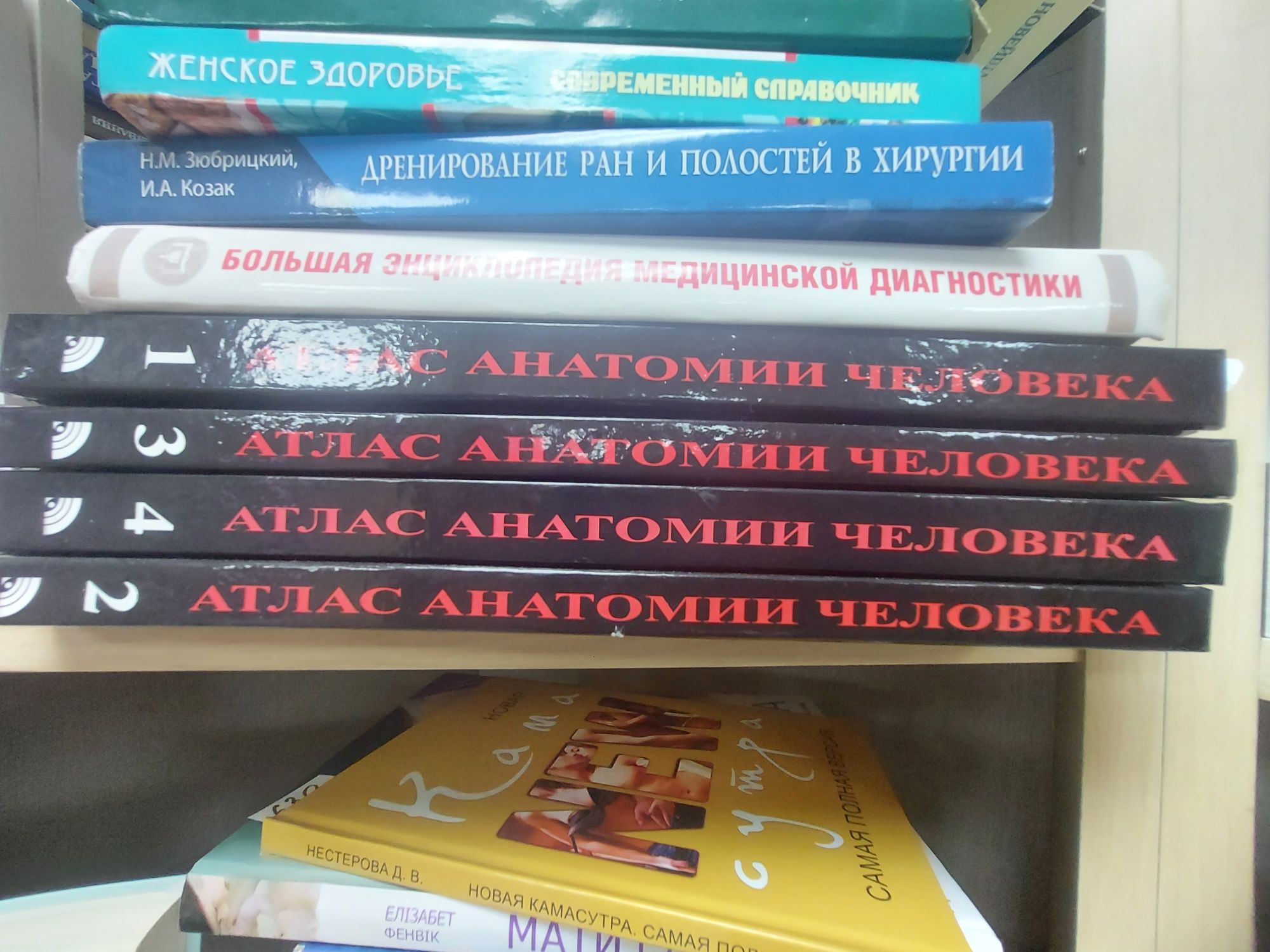 Людина навчальний  посібник з анатомії та фізіології людини