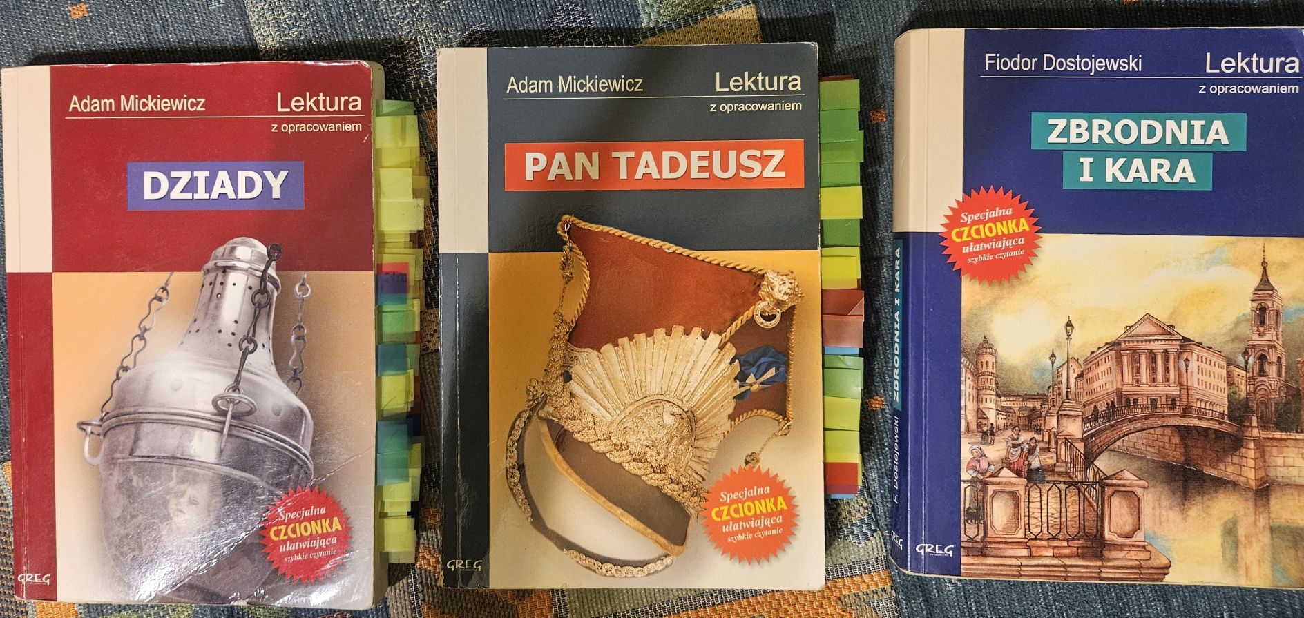 Lektury. Liceum Narcyzy Zmichowskiej