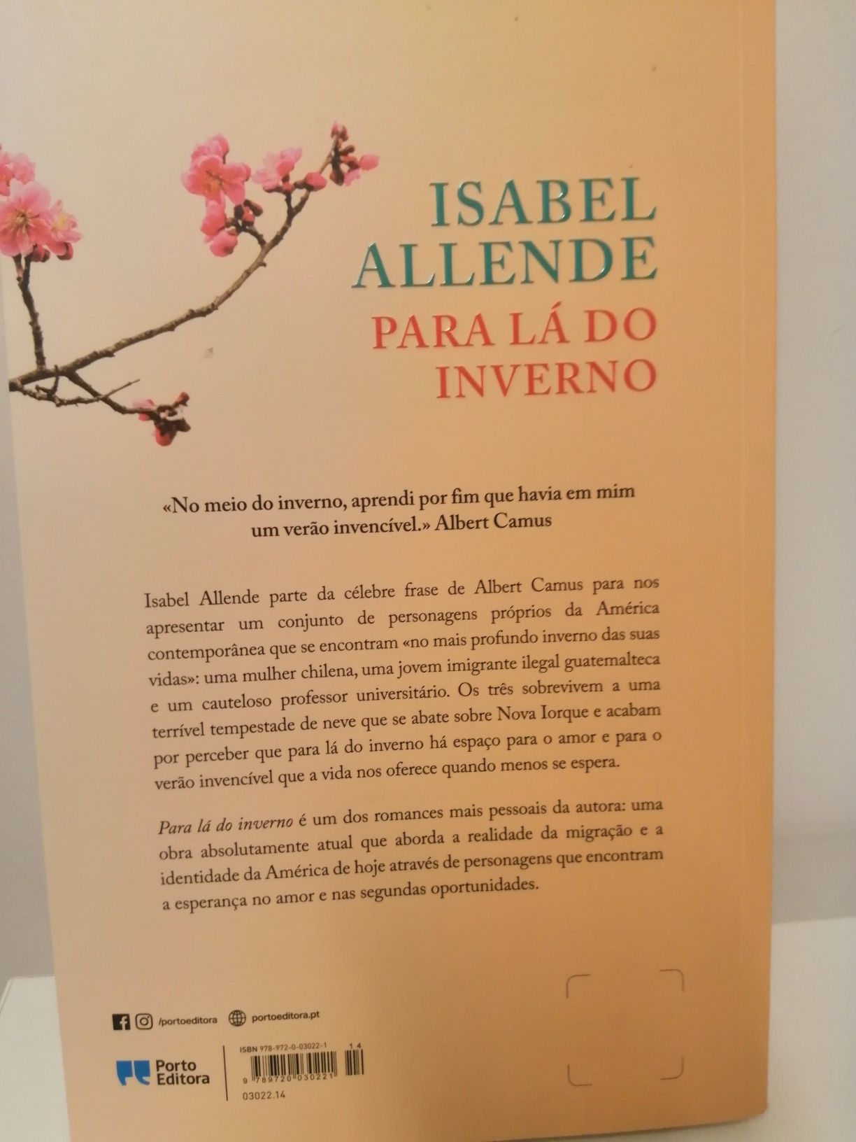 Para lá do inverno - Isabel Allender