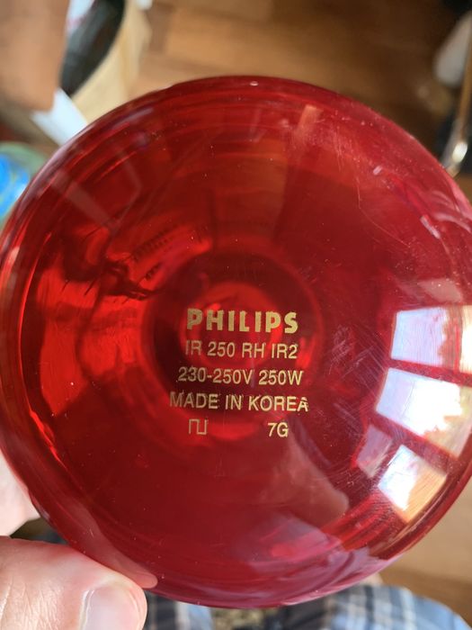 Лампа для підігріву страв + Інфочервона лампа Phillips