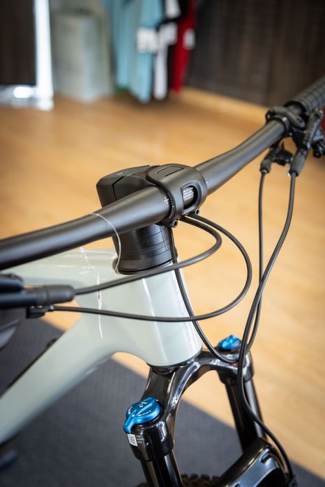BICICLETA DE MONTANHA FOCUS RAVEN 8.8