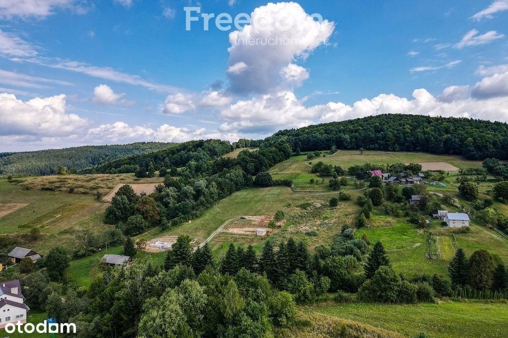 Działka rekreacyjna w malowniczej okolicy