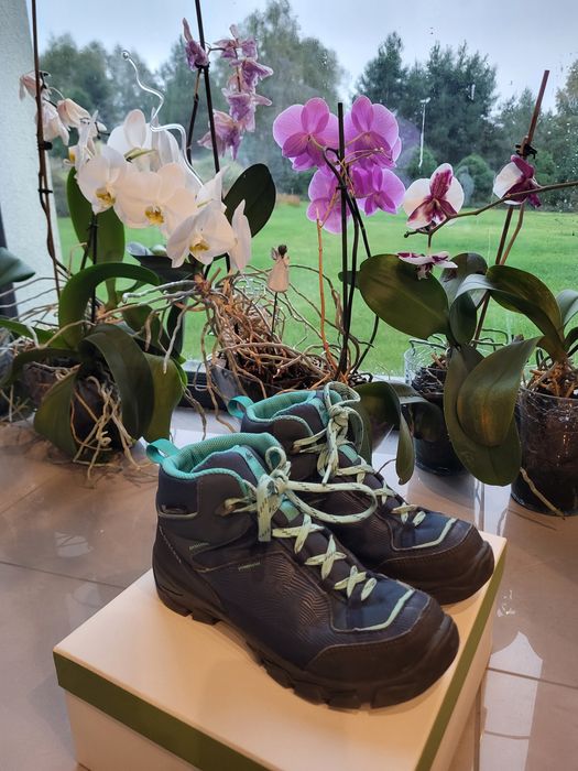 Trapery Buty turystyczne dla dzieci Quechua MH120 Mid