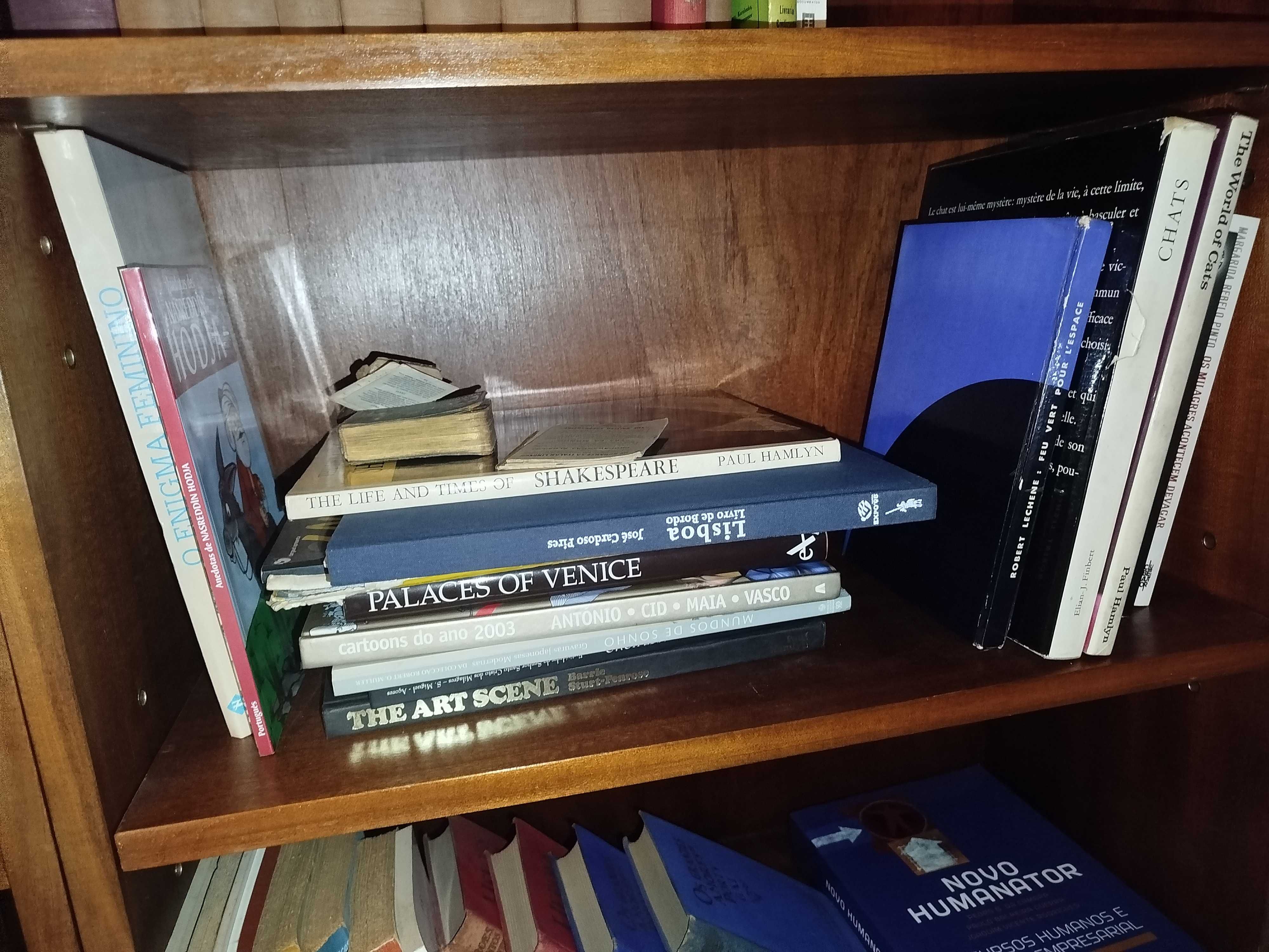 Vendo livros variados 2