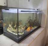 Vendo Aquário 250lts