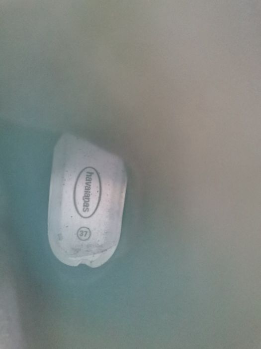 Havaianas galochas 37