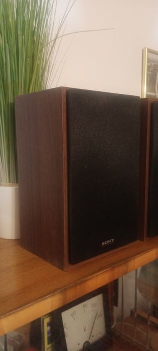 Głośnik Sony model ss-cfx 250