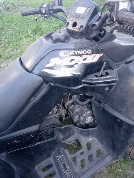 Quad cena za 2 szt