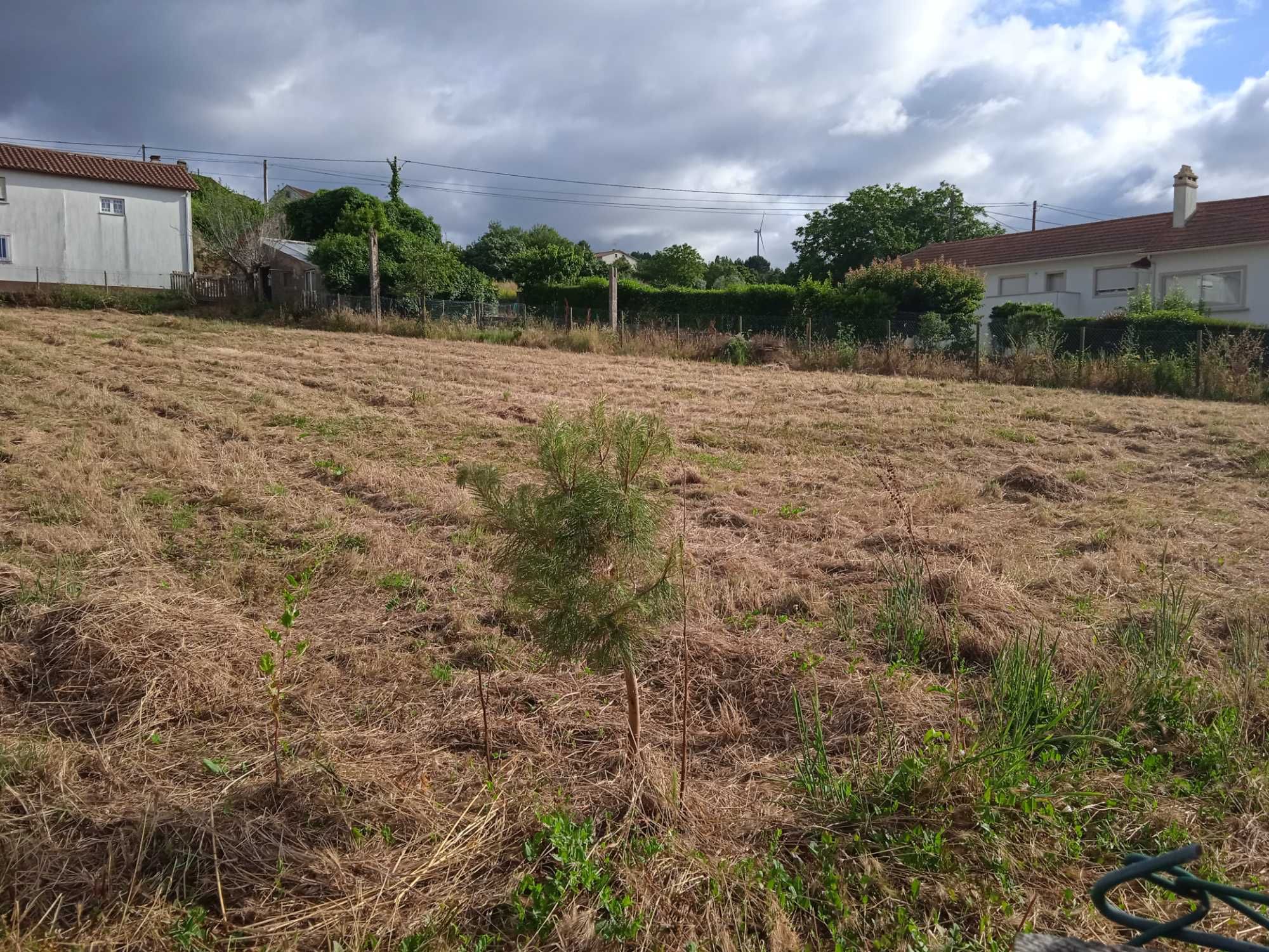 Terreno para construção