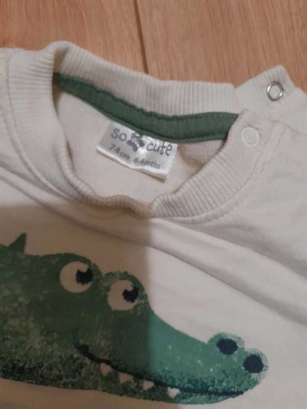 Dres bluza+ spodnie z motywem krokodyla