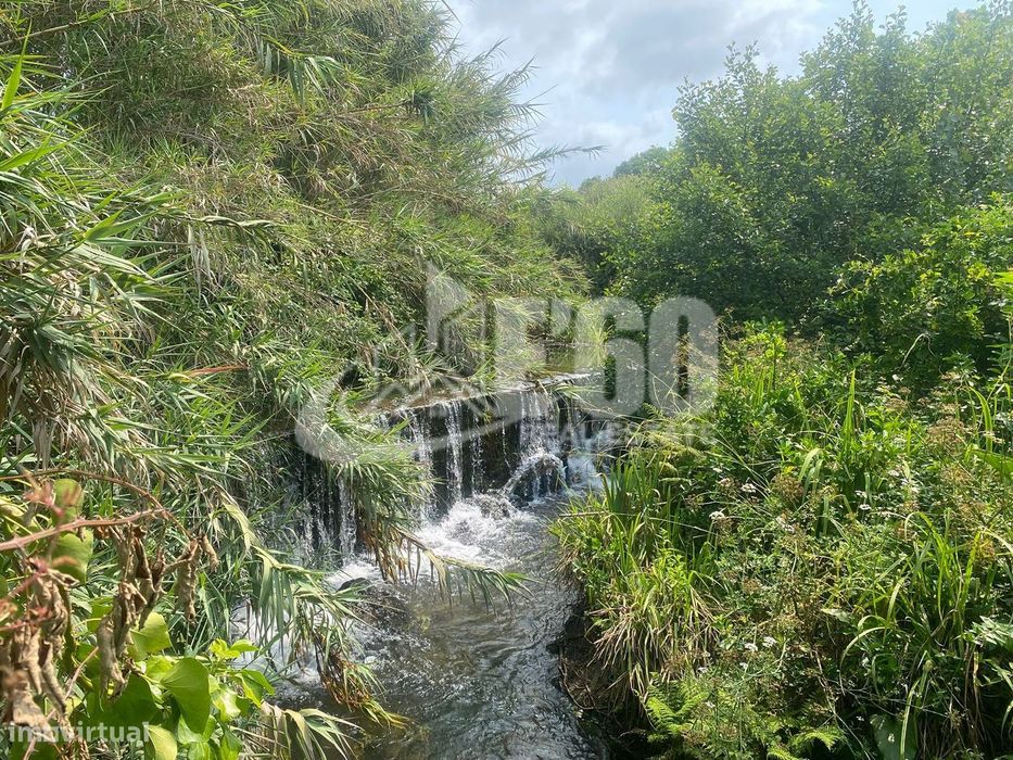 Propriedade, Quinta ou Moinho rodeado por Canais de Ribeiro, Praia...