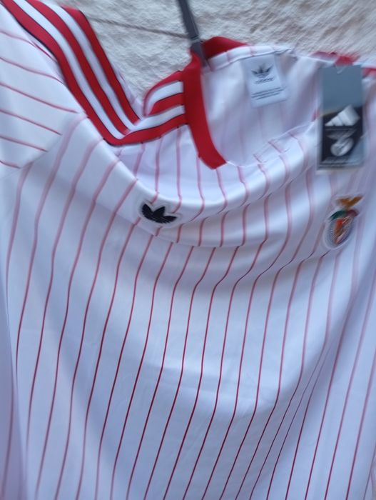 Camisolas 25/26 do Benfica,várias modelos e tamanhos