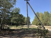 Земельна ділянка 12,5 соток.Електрика! Пилиповичі.