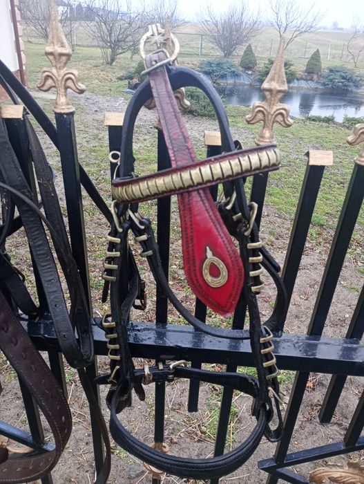 Sprzedam siodło uprząż puszorek ogłowie sprzęt do jazdy