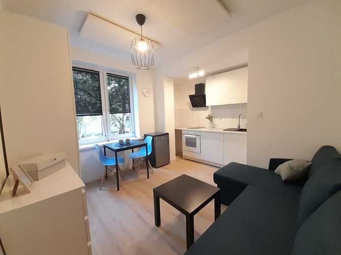 Wynajmę studio przyjazne zwierzętom, Tomasza 5, BRAK PROWIZJI