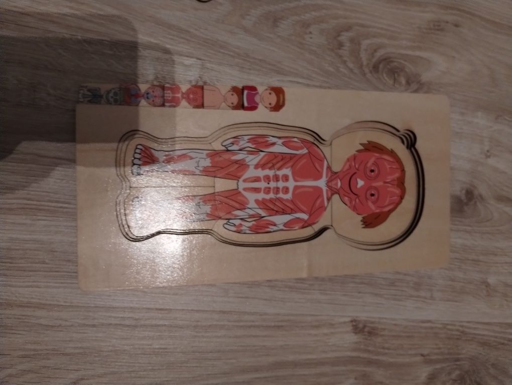 Drewniane puzzle ciało człowieka - wersja dziewczynka