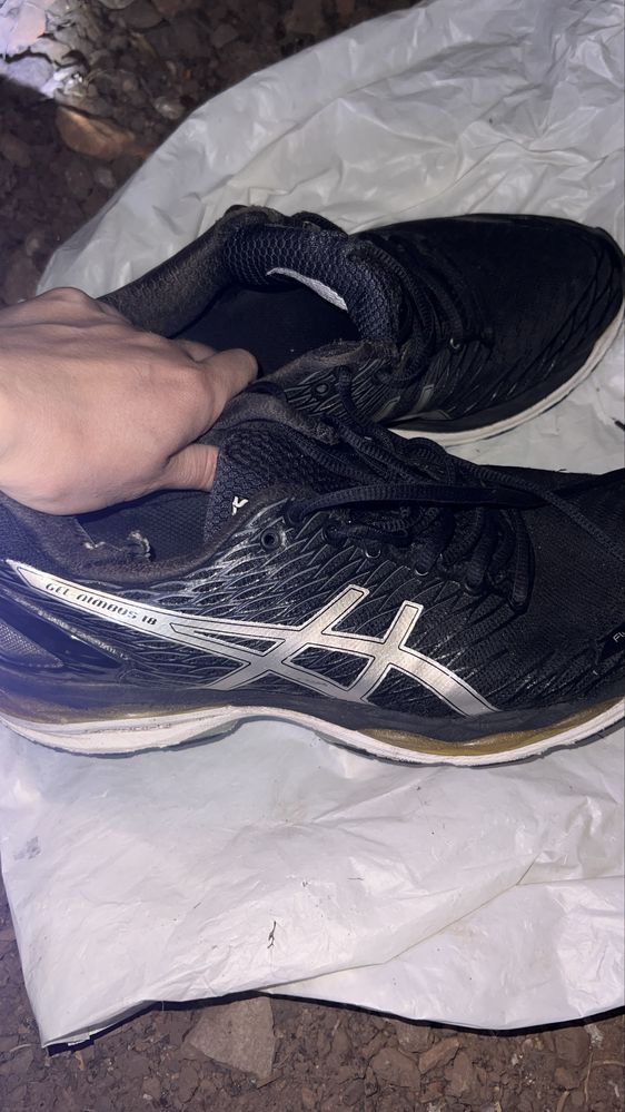 Кросівки asics / puma