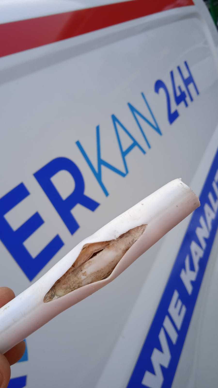 Lokalizacja wycieków wody oraz badanie kamerą termowizyjną