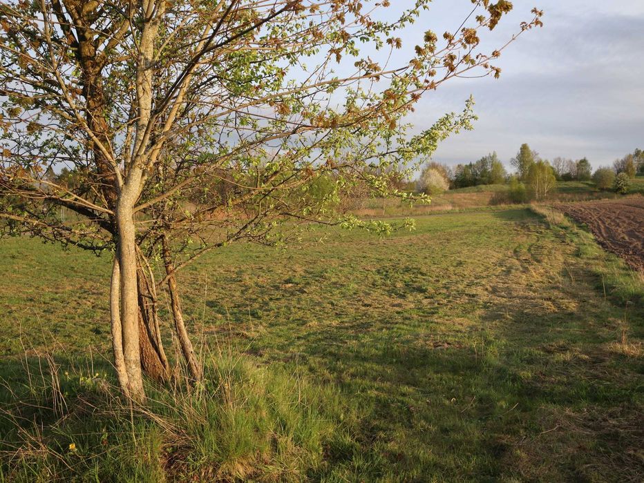 Działka budowlana na Mazurach / 350 m do jez. Narie