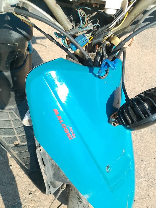 Сузуки сепия на ходу