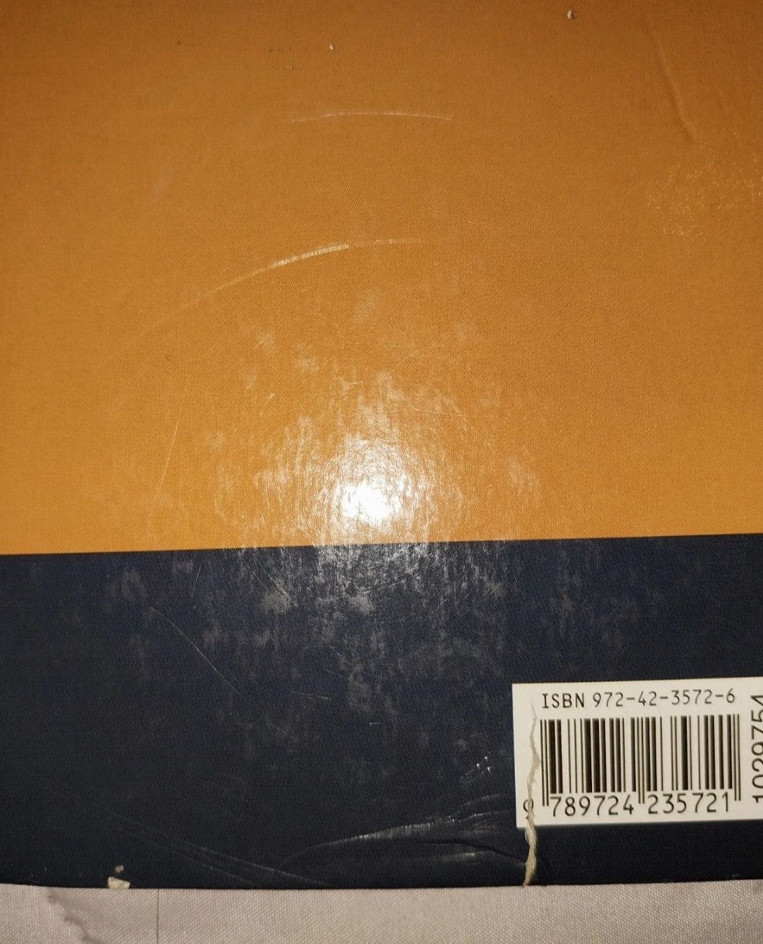 Livro Queimada viva