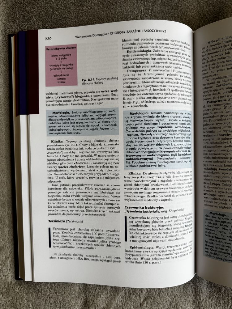 Patologia Domagała tom I i II