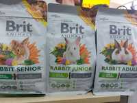 Karma dla królika brit