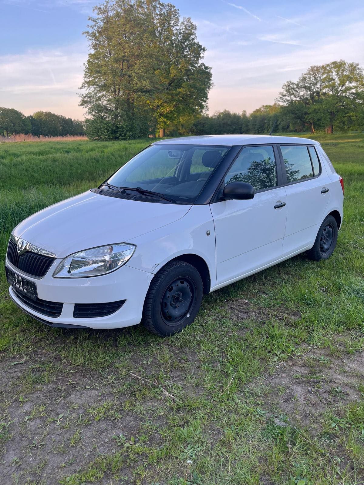 Skoda Fabia II 2013r. Z Niemiec