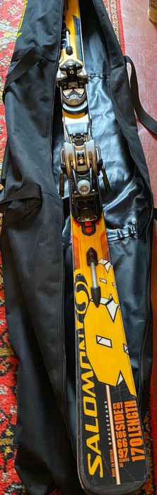 Горнолыжные лыжи