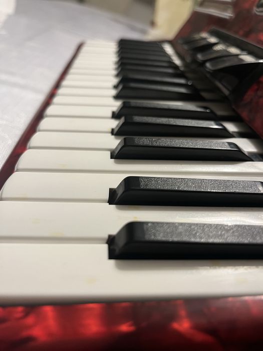 Akordeon Weltmeister seperato Standard 72 basy