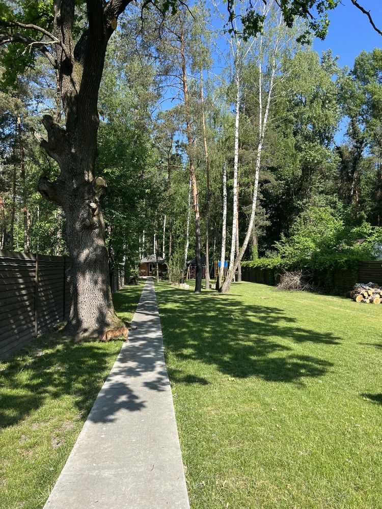 Будинок з басейном, чанами в лісі