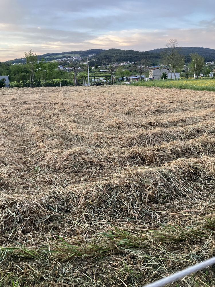 Vendo fardos de palha aveia qualidade milho medio