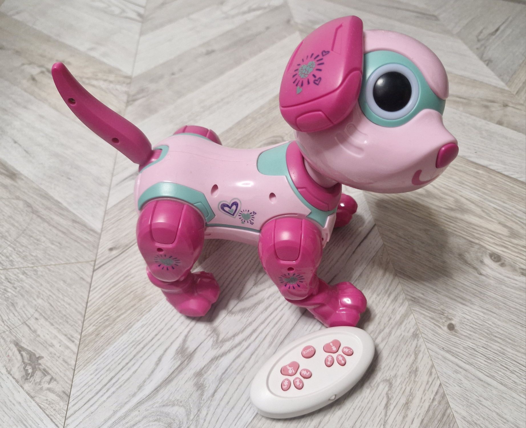 Robopies RoboLola sterowany interaktywny edukacyjny z pilotem