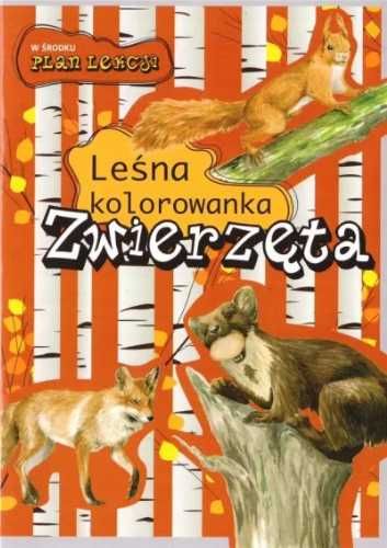 Leśna kolorowanka. Zwierzęta - Katarzyna Kopiec-Sekieta, Eliza Goszcz