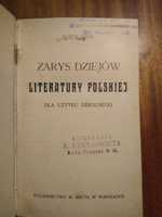 Zarys dziejów lit. pol., Konopnicka, Potocki - współoprawa - 1903