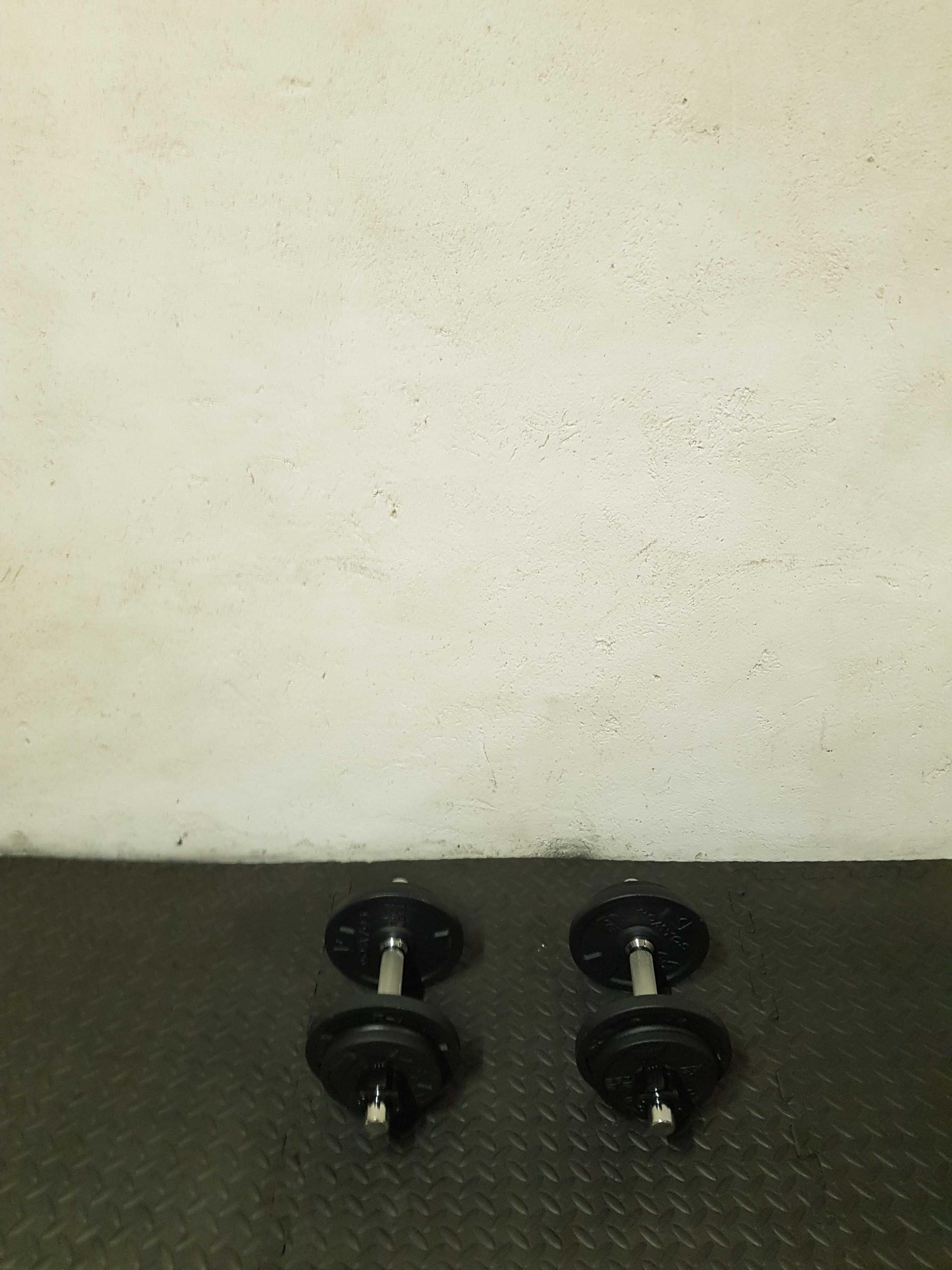 Hantle zeliwne regulowane domyos 10kg x2