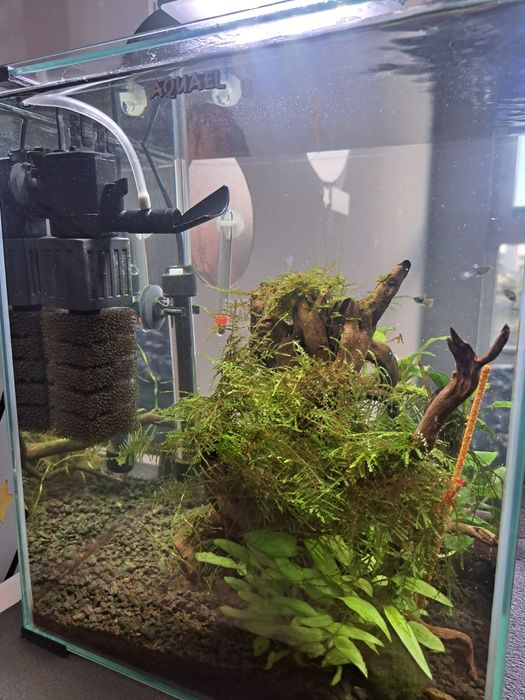 Akwarium 30l Aquael + pełen zestaw akcesoriów