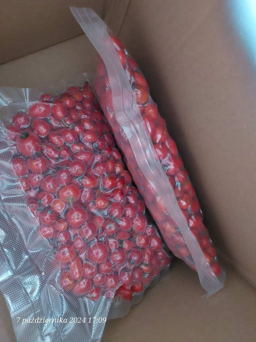 Dzika róża owoce świeże 2 kg Sudety