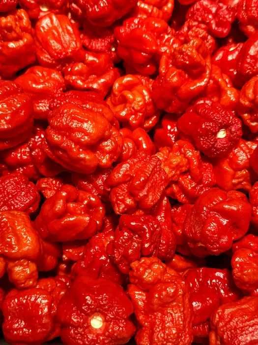 Carolina Reaper ШРІРАЧА Гострий соус Подарунковий набір Острый крафт