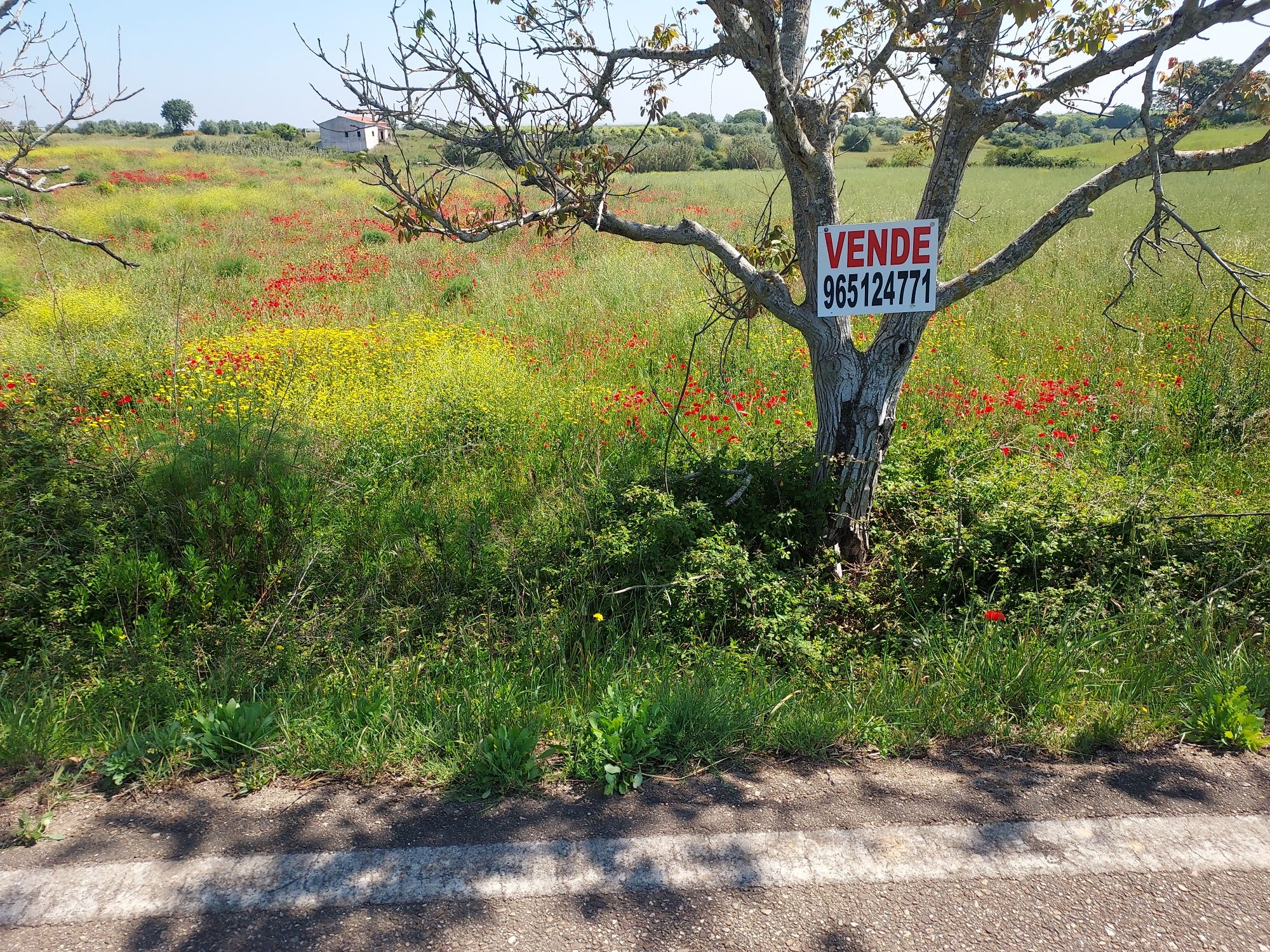 Terreno com possibilidade de construção para industria tipo C e D.