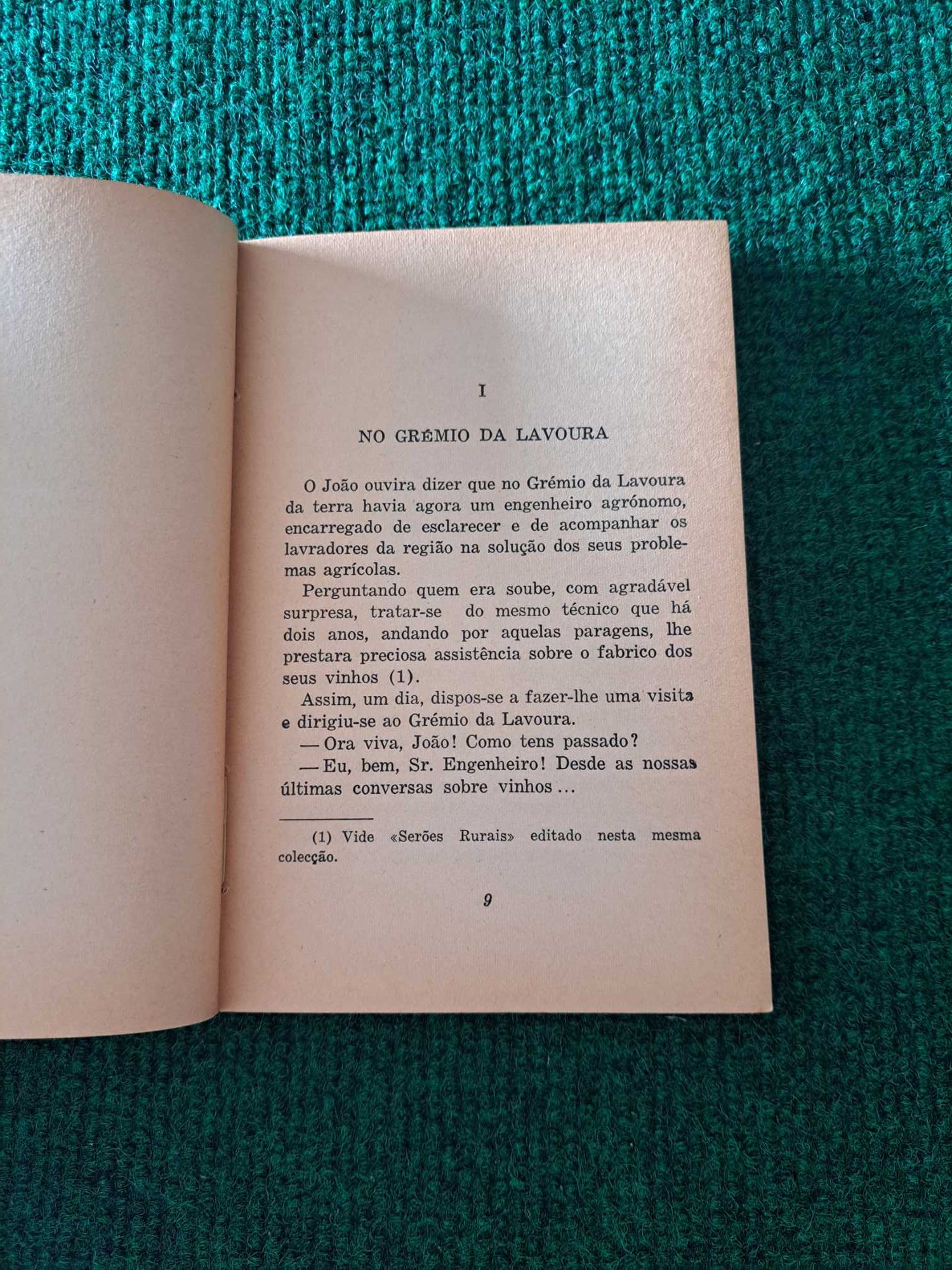 A Vinha - Alfredo Baptista