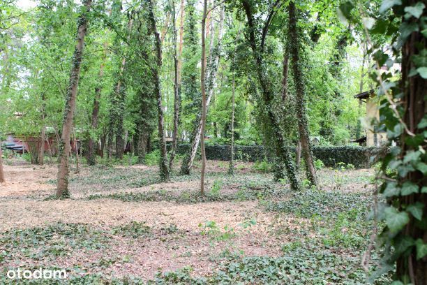 Idealna działka pod rezydencję / dom