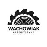 Wycinka, przycinanie, ścinanie drzew